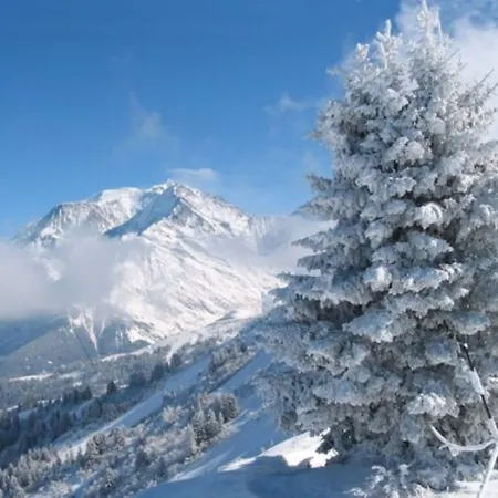 Hotel Grand Soleil D'or Megève